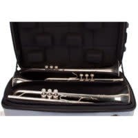 Protec Single / Double / Triple Horn ZIP Case