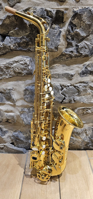 Saxophone Alto Twigg PT-111