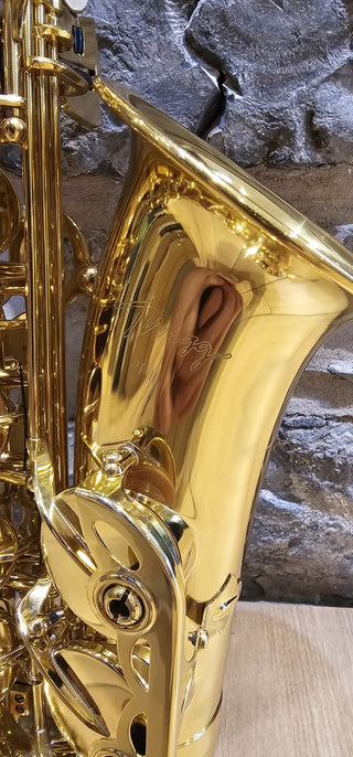 Saxophone Alto Twigg PT-111