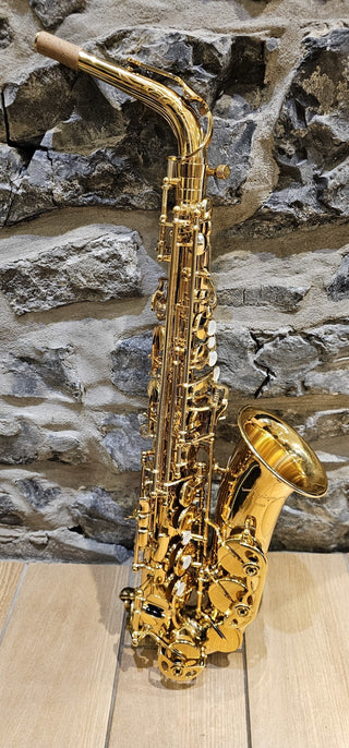 Saxophone Alto Twigg PT-333