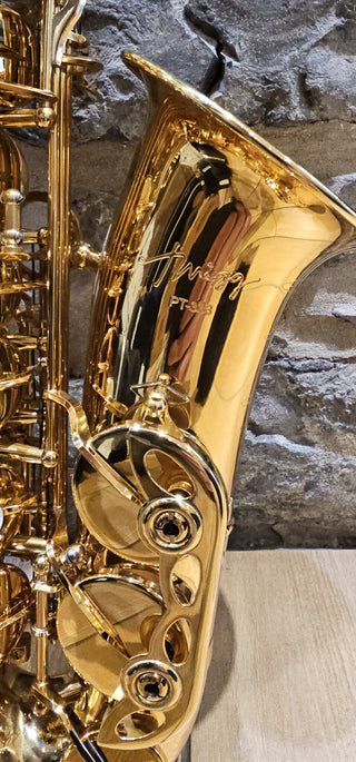 Saxophone Alto Twigg PT-333