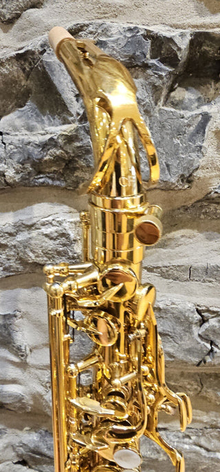 Saxophone Alto Twigg PT-333