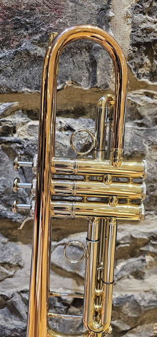 Trompette Sib Twigg EXTR-8334