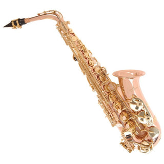 Saxophone Alto Odyssey