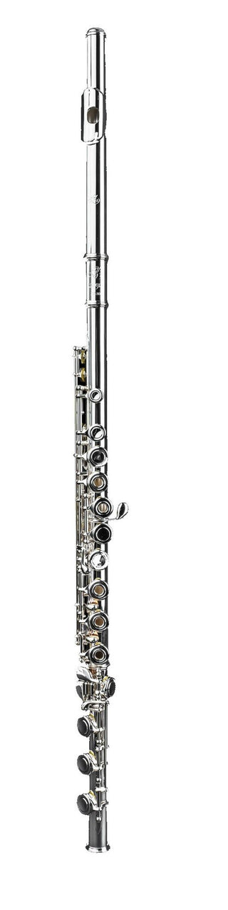Flûte Traversière Di Zhao DZ-401