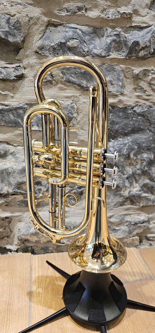 Cornet Twigg, Verni Or