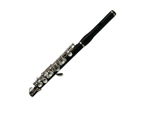 Piccolo Amadeus AP86-T