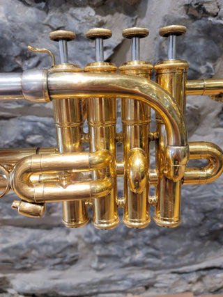 Trompette Piccolo Stomvi Elite