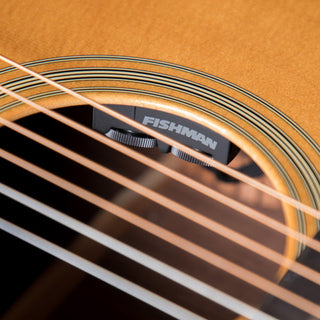 Pick-Up Guitare Acoustique Fishman Matrix Infinity (Narrow Format)