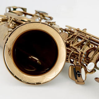 Saxophone Alto Carrera Verni Foncé