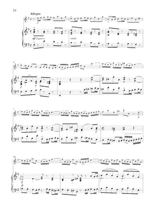 Flute Collection, The (Intermediate to Advanced Level)