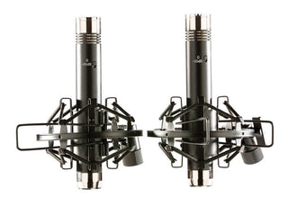 Micros Apex ''Overhead'' 185B en paire