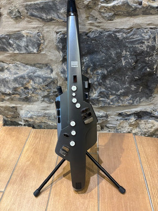 Aerophone Roland AE-10 Usagé