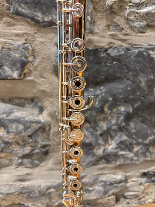 Pre-Owned Powell Conservatory Arumite 9K Flute