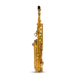 Saxophone Alto BetterSax Session Dark Lacquer