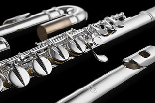Di Zhao DZA-100  With Silver Headjoint Alto Flute