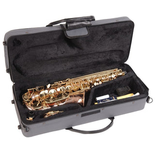 Saxophone Alto Odyssey