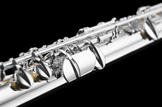 Di Zhao DZA-100  With Silver Headjoint Alto Flute