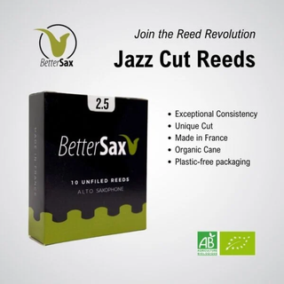 Anches Saxophone Alto BetterSax