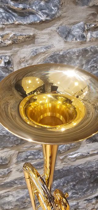 Trompette Sib Usagée Yamaha YTR-8330EM