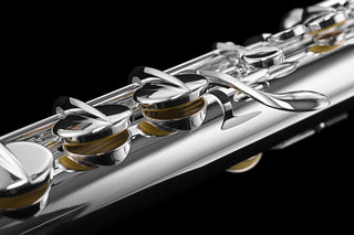 Di Zhao DZA-100  With Silver Headjoint Alto Flute