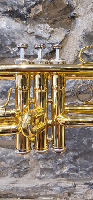 Trompette Sib. Usagée Nuova