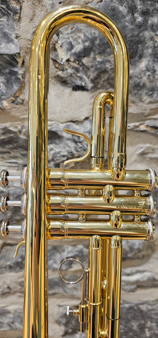 Trompette Sib. Usagée Nuova