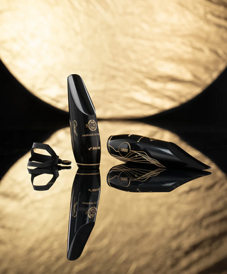 Bec Saxophone Ténor Selmer Concept 2025