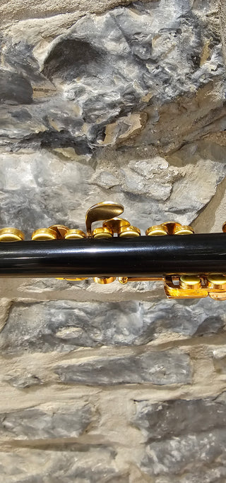 Piccolo Usagé Expression