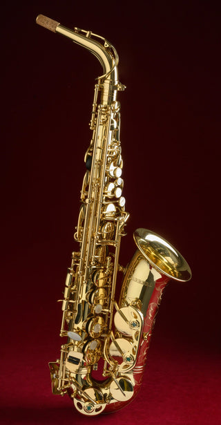 Carrera Student alto saxophone for a child beginner