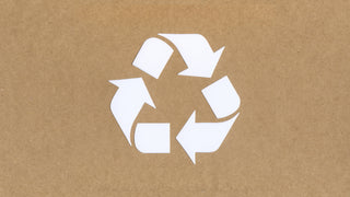 4 eco-friendly tips for musicians and their instrument