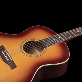 Seagull Entourage MJ Rustic Burst