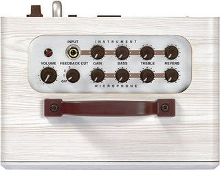ZT Lunchbox Acoustic Amp LBA1