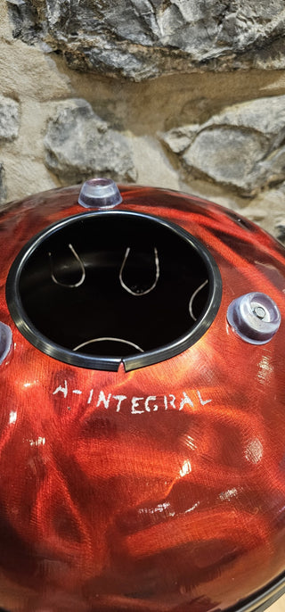 Tank Drum Earth en La Intégral