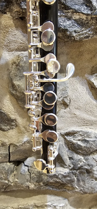 Piccolo Twigg PT-555 Bois