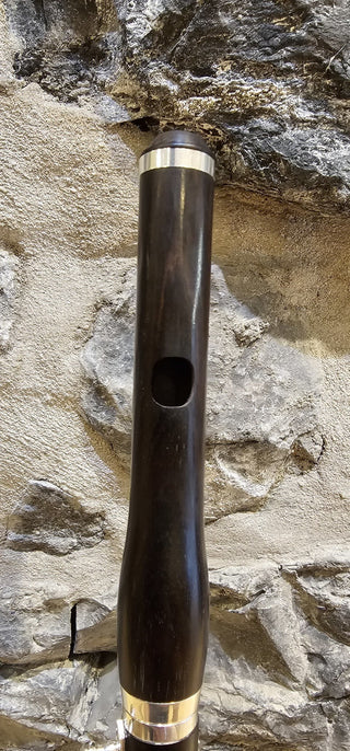 Piccolo Twigg PT-555 Bois