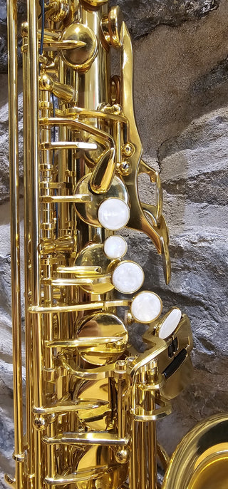 Saxophone Alto Twigg PT-111