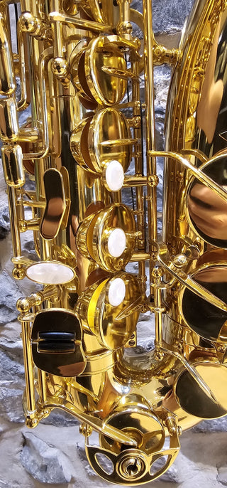 Saxophone Alto Twigg PT-111