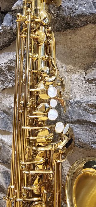 Saxophone Alto Twigg PT-222