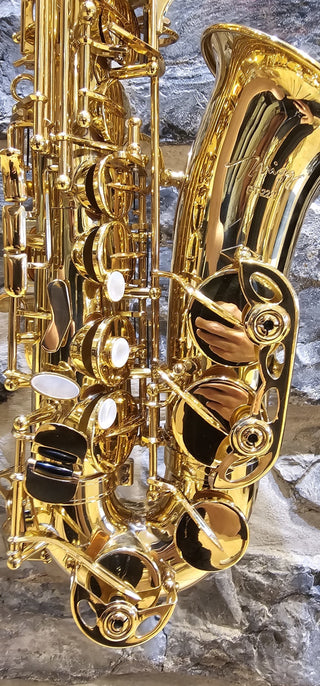 Saxophone Alto Twigg PT-222