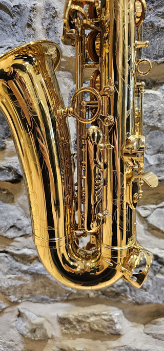 Saxophone Alto Twigg PT-222