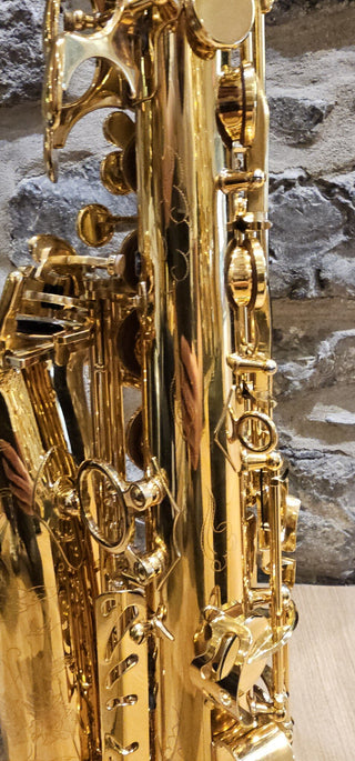 Saxophone Alto Twigg PT-333