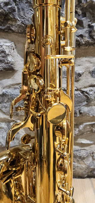 Saxophone Alto Twigg PT-333
