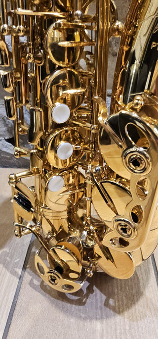 Saxophone Alto Twigg PT-333