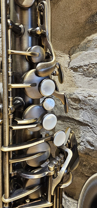 Saxophone Alto Twigg PT-444