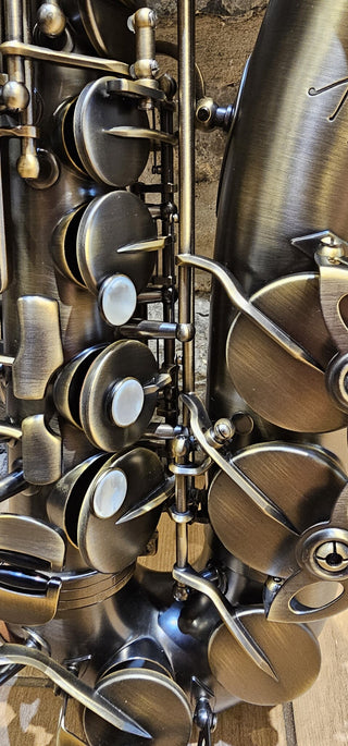 Saxophone Alto Twigg PT-444