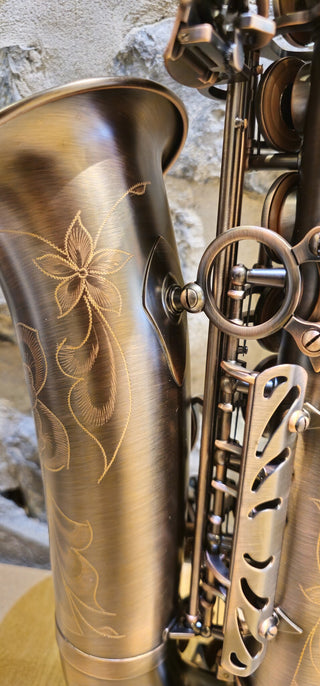 Saxophone Alto Twigg PT-555
