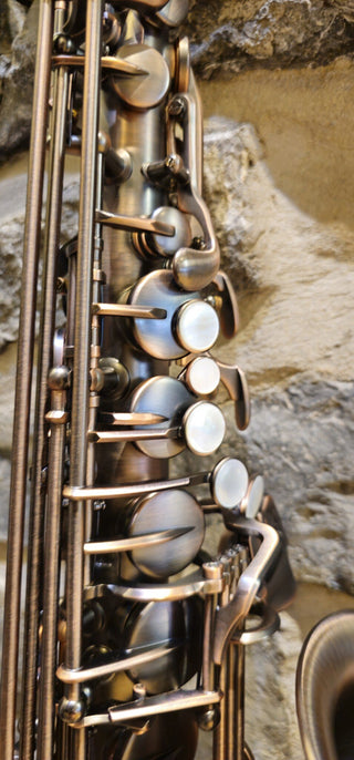 Saxophone Alto Twigg PT-555