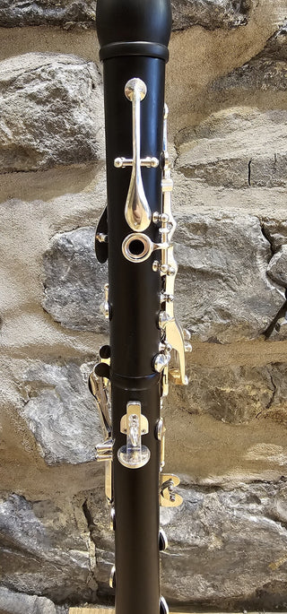 Clarinette en Do Twigg PT-555