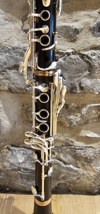 Clarinette Sib. Twigg PT-555 Professionnelle